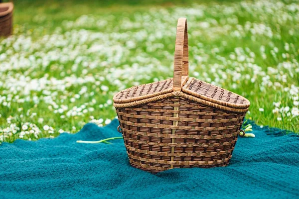 Closeup Picnic Basket Blue Cloth Surrounded White Flowers — Stock Photo, Image