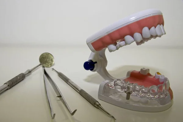 Κοντινό Πλάνο Ακρυλικού Μοντέλου Ανθρώπινων Δοντιών Και Εργαλείων Ιατρικού Εξοπλισμού — Φωτογραφία Αρχείου