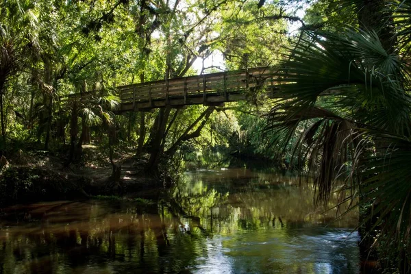 Uma Imagem Uma Ponte Madeira Rio Cercado Por Vegetação — Fotografia de Stock