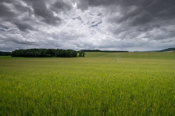 Een Antenne Opname Van Een Grasland Onderaan Bij Bewolkt Weer — Stockfoto