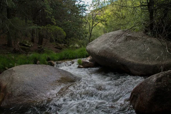 在森林中央的河里 一个漂亮的大石头镜头 — 图库照片