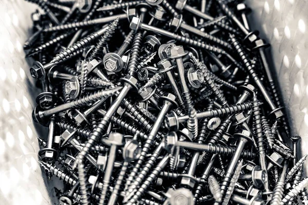 Grey Scale Close Shot Metal Screws — Stock fotografie