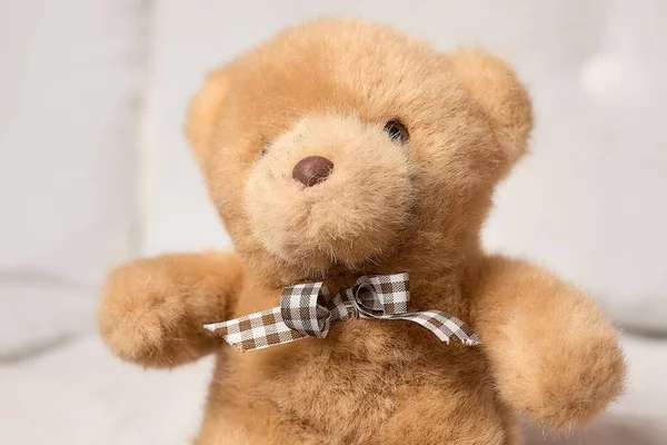 Ein Süßer Teddybär Plüschtier Einem Zimmer — Stockfoto