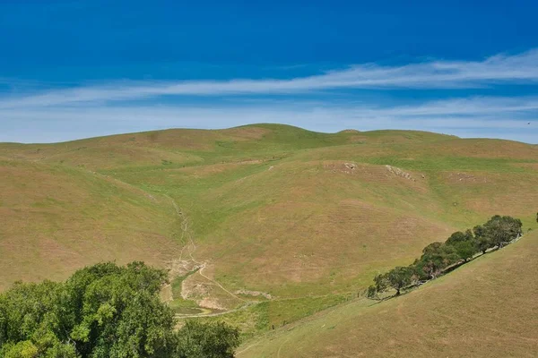 Vista Das Montanhas Cobertas Com Grama Seca Poucas Árvores — Fotografia de Stock