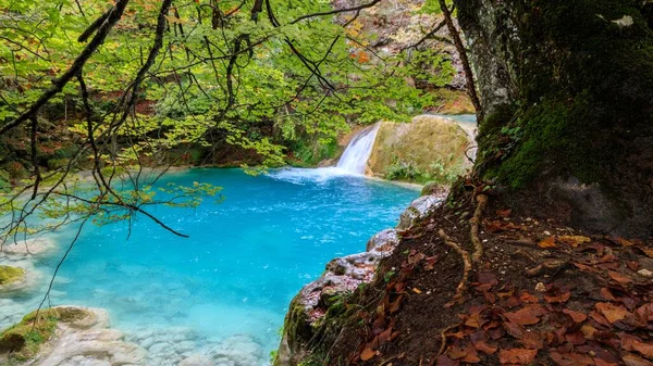 Egy Gyönyörű Kék Természetes Medence Erdőben — Stock Fotó