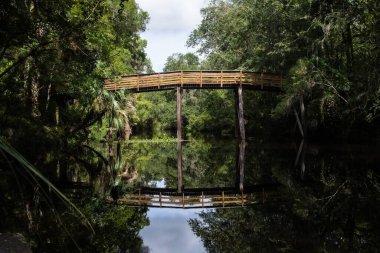 A beautiful view of the bridge at Hillsborough River State Park, Florida, USA clipart