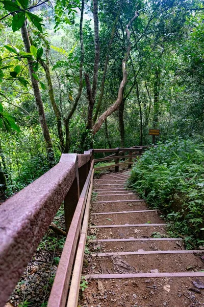Parkta Ağaçlarla Çevrili Merdivenlerin Dikey Görüntüsü — Stok fotoğraf