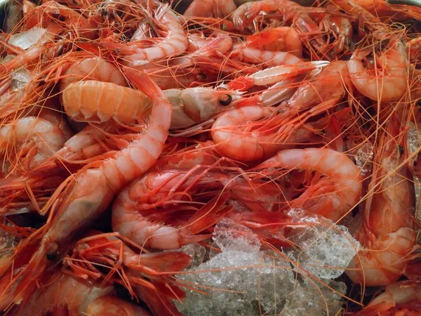 Gros Plan Beaucoup Crevettes Congelées Dans Marché Aux Poissons — Photo