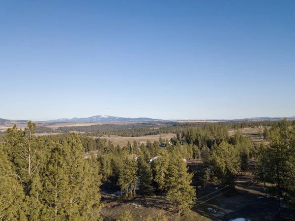 Aerial Shot Beautiful Forest Landscape Sunlight — Stock Photo, Image