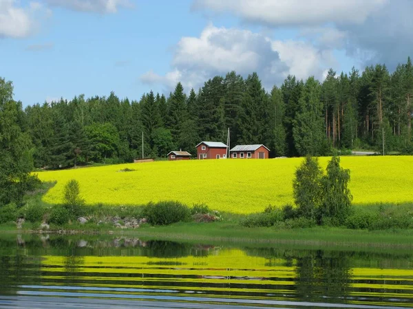 Husen Och Träden Vacker Gräsbevuxen Kulle Vid Sjö Som Fångats — Stockfoto