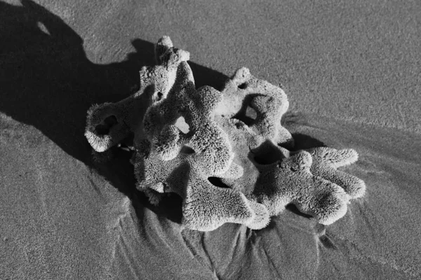 Een Hoge Hoek Opname Van Een Koraal Rif Een Zandstrand — Stockfoto