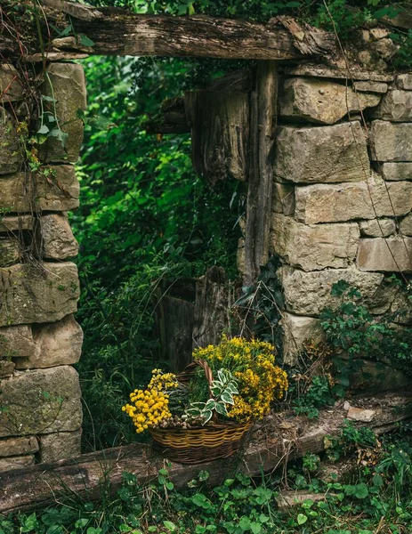 Eine Vertikale Aufnahme Eines Blumenkorbs Einer Schönen Alten Steinmauer Mit — Stockfoto