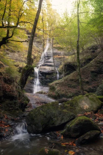 Tiro Vertical Uma Cachoeira Cercada Por Árvores Floresta — Fotografia de Stock