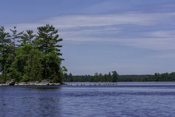 Eine Schöne Aufnahme Des Morris Island Naturschutzgebietes — Stockfoto