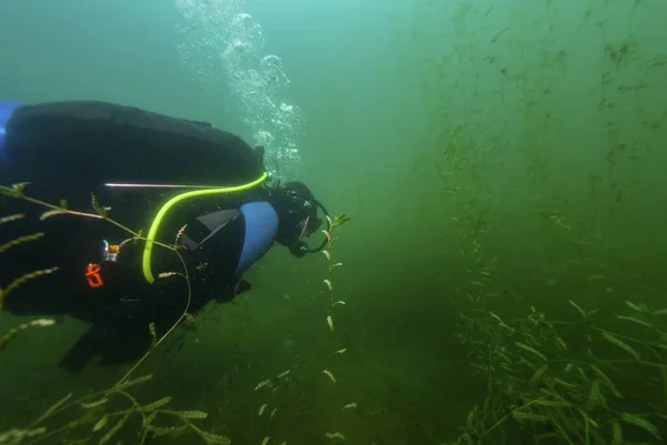 Charlotte Estados Unidos Junho 2020 Charlotte Junho Mergulhador Recreativo Scuba — Fotografia de Stock