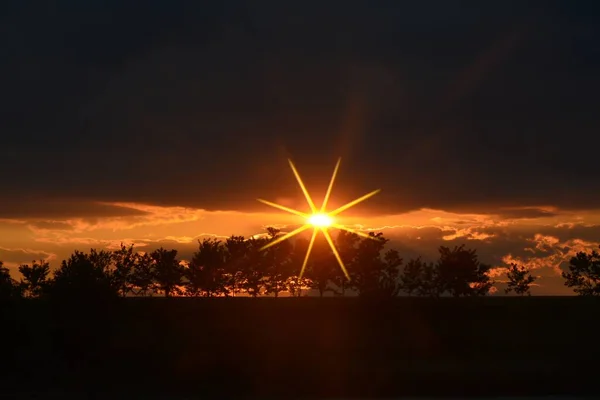 Een Silhouet Van Bomen Bij Zonsondergang — Stockfoto