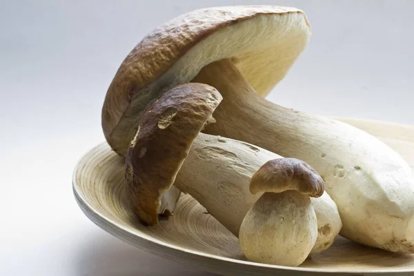 Egy Közeli Felvétel Ehető Gombákról Egy Tányéron Fehér Alapon — Stock Fotó