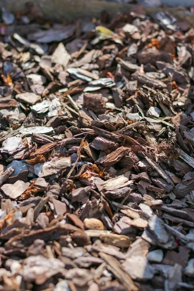 Plan Vertical Une Pile Écorce Arbre Coupée Avec Quelques Feuilles — Photo