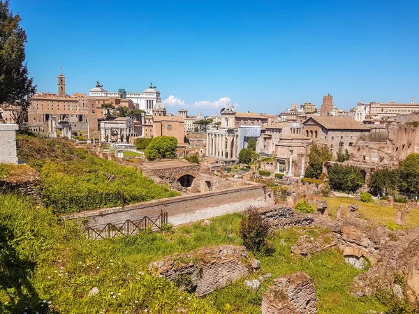 Eine Malerische Aufnahme Der Ruinen Des Forum Romanum Einem Strahlenden — Stockfoto