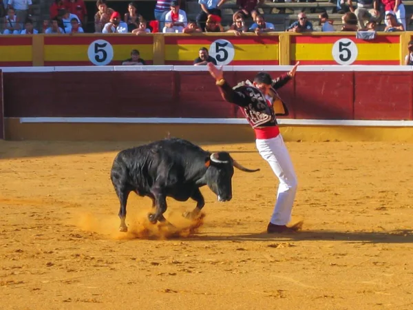 Pamplona Span Haziran 2019 San Fermin Pamplona Spanya Boğaların Koşusu — Stok fotoğraf