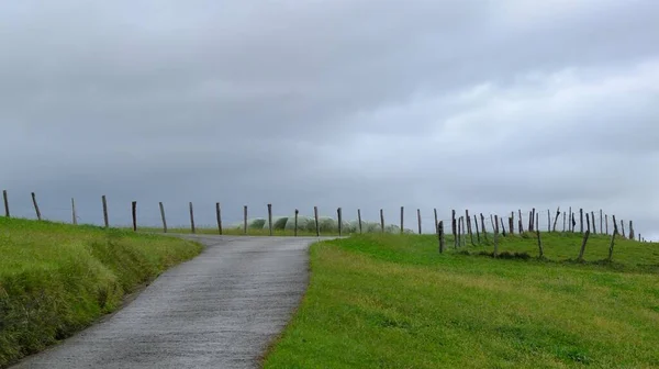 Caminho Estreito Campo Gramado Verde Cercado Por Uma Cerca — Fotografia de Stock