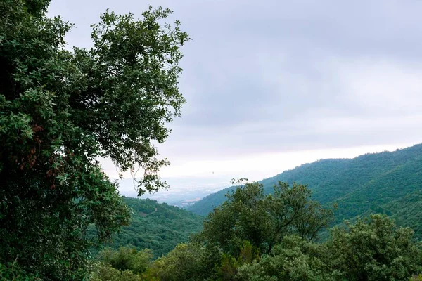 Kasvetli Bir Günde Arka Planda Yeşil Katmanlı Tepeleri Olan Büyük — Stok fotoğraf