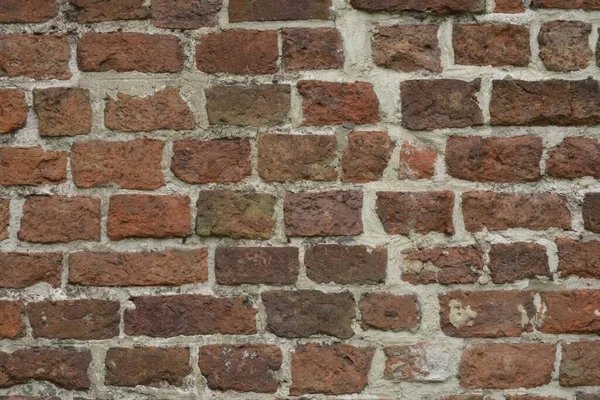 Closeup Shot Concrete Brick Wall Texture Perfect Background Wallpaper — Stock Photo, Image