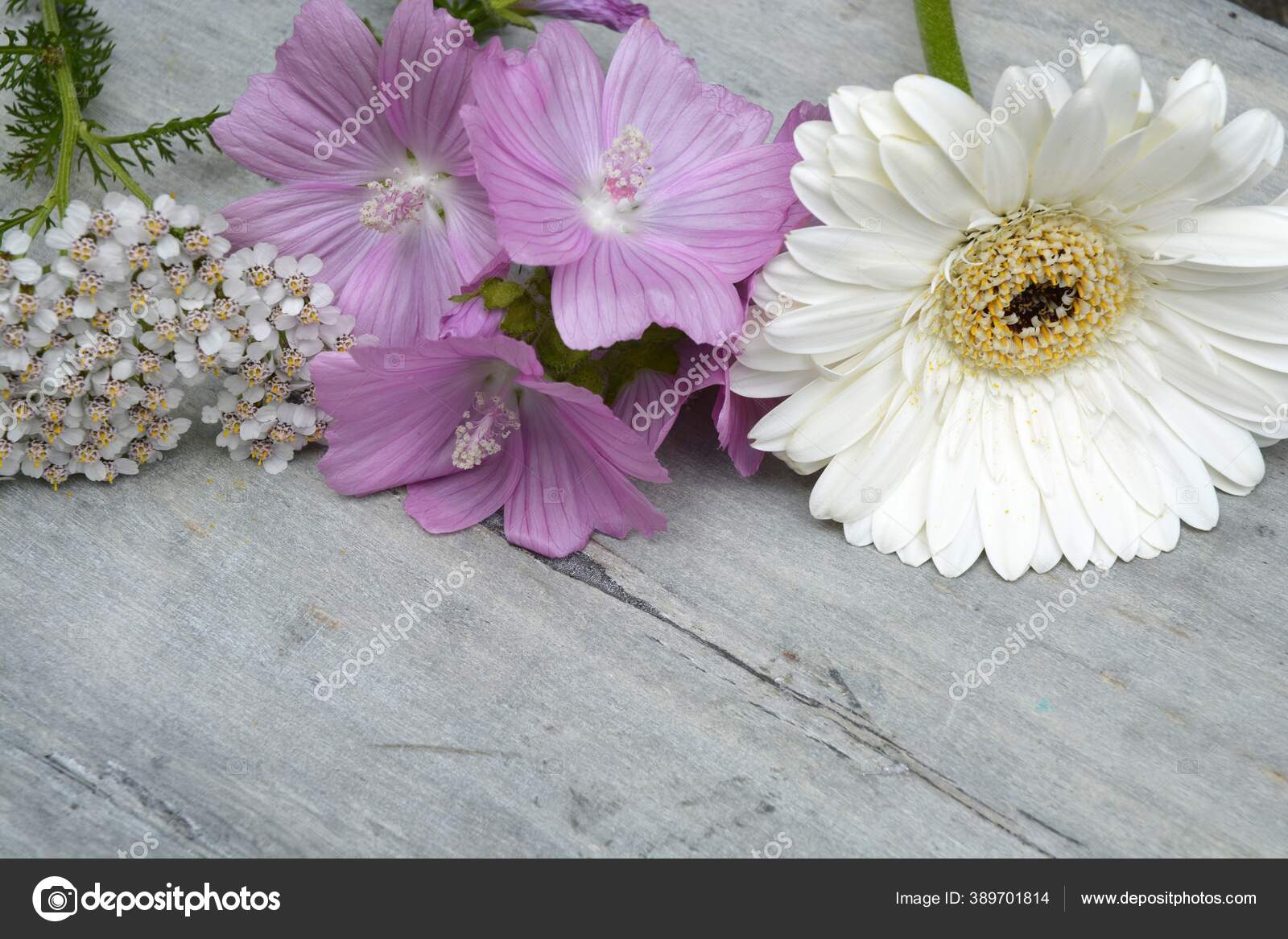 Close Up of Colorful Artificial Daisy Flowers Stock Image - Image