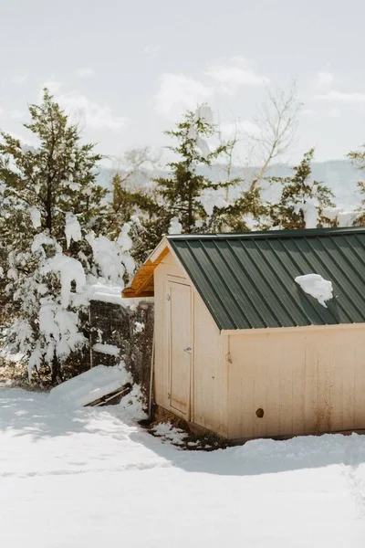 Vertikal Bild Ett Skjul Omgivet Snö Och Några Träd Vintern — Stockfoto