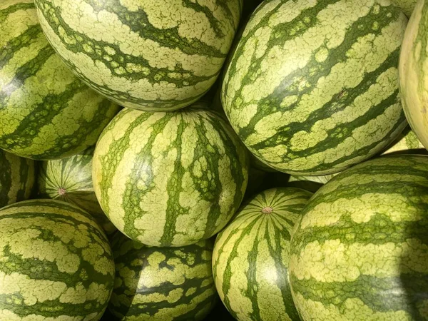 Närbild Ett Bestånd Skördad Vattenmelon — Stockfoto