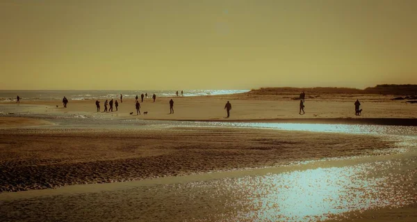 Een Panoramisch Beeld Van Mensen Die Tijdens Zonsondergang Het Strand — Stockfoto