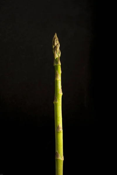 Een Close Shot Van Een Verse Asperges Geïsoleerd Zwarte Achtergrond — Stockfoto