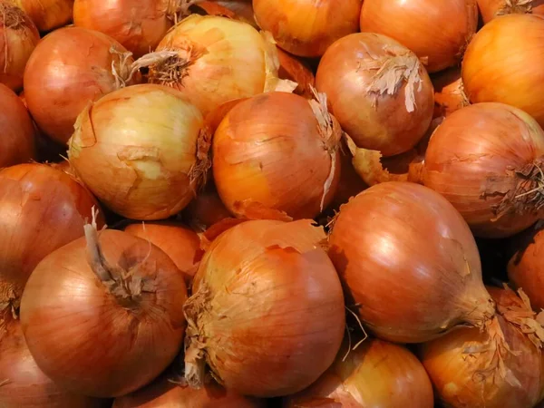 Een Groep Verse Biologische Licht Geschilde Witte Uien Een Markt — Stockfoto