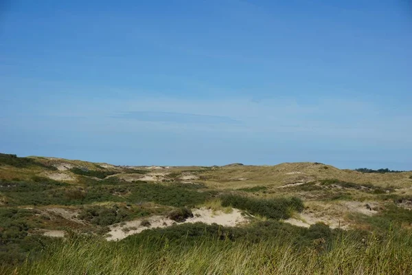 Primer Plano Campo Con Hierba Fresca Seca Cielo Despejado — Foto de Stock