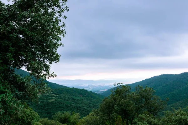 暗い日に遠くに大きな緑の丘を持つ木々の美しい風景のショット — ストック写真