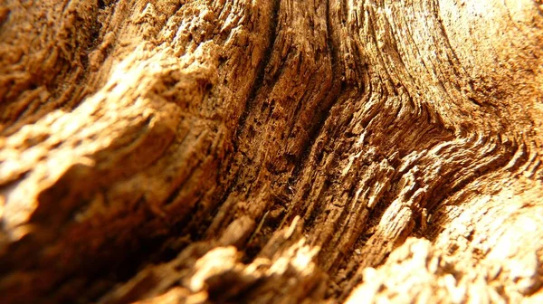 Horizontal Shot Texture Weathered Wood — Stock Photo, Image