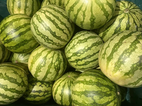 Närbild Ett Bestånd Skördad Vattenmelon — Stockfoto