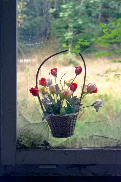 Ein Blumenkorb Hängt Einem Zerbrochenen Fensterrahmen Mit Grünen Bäumen Und — Stockfoto