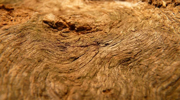 Крупный План Текстуры Выветрившейся Древесины — стоковое фото