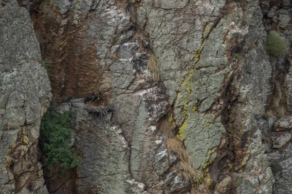西班牙特鲁希略一座石山侧面的特写镜头 — 图库照片
