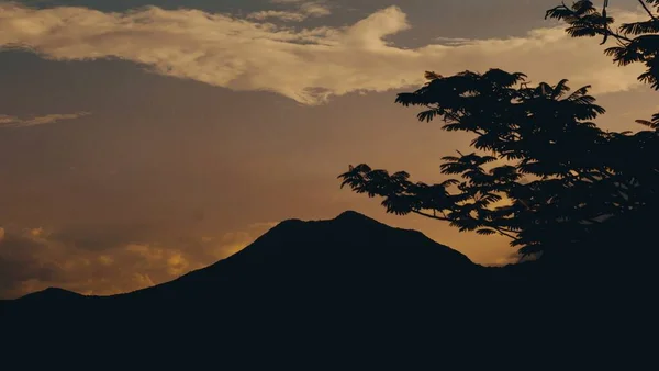 Eine Atemberaubende Aufnahme Der Berge Bei Sonnenuntergang Mit Bäumen Vordergrund — Stockfoto