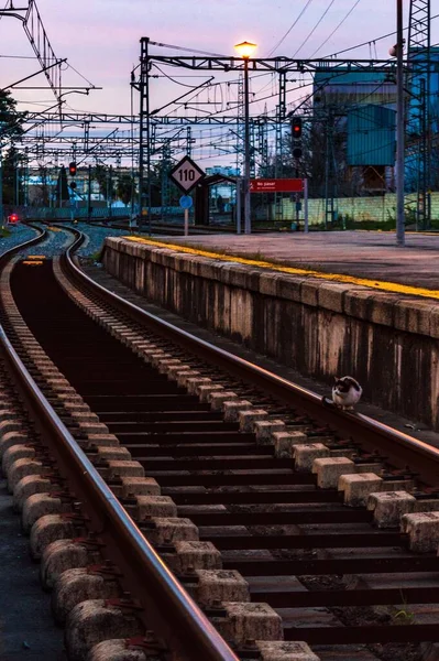 Los Ferrocarriles Los Cables Complejos Las Farolas Brillantes Por Noche — Foto de Stock