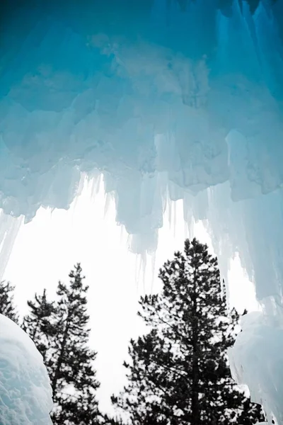 Foco Suave Branco Azulado Pendurado Icicles Dia Inverno Gelado Árvores — Fotografia de Stock