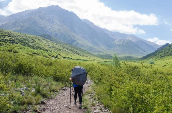 Une Vue Sur Les Montagnes Des Andes Argentine Avec Une — Photo
