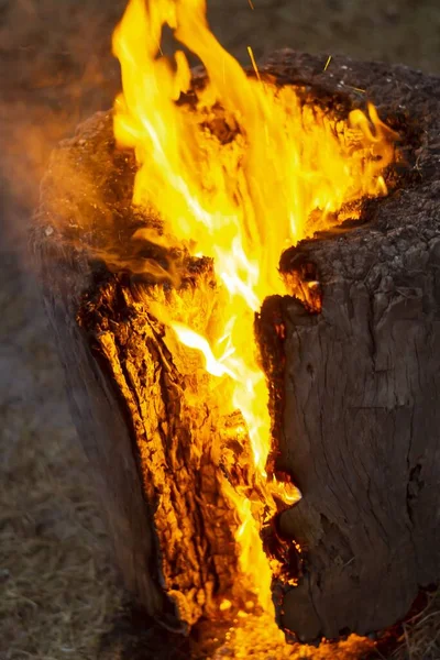 Een Verticaal Beeld Van Een Brandend Logboek Dat Een Vurige — Stockfoto