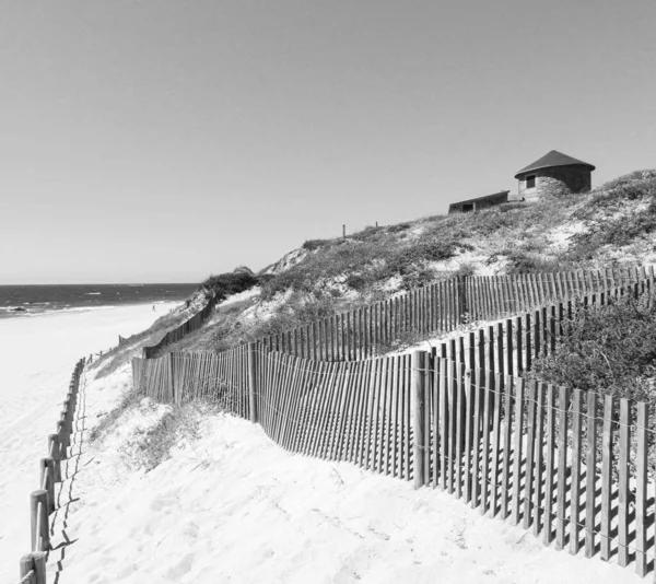Grayscale Shot Northern Littoral Natural Park — Stock Photo, Image