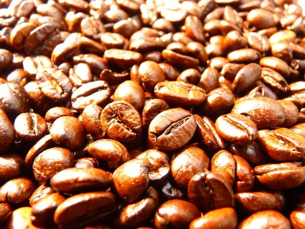 Horizontální Záběr Kávových Zrn Pražení — Stock fotografie