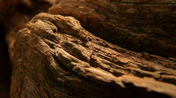 Horizontal Shot Texture Weathered Wood — Stock Photo, Image