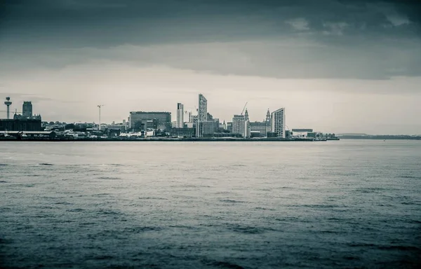 Grayscale Záběr Panorama Liverpoolu — Stock fotografie