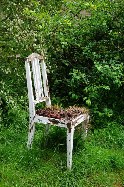 Bahçedeki Ağaçların Arasında Yaralı Bir Sandalyenin Dikey Görüntüsü — Stok fotoğraf